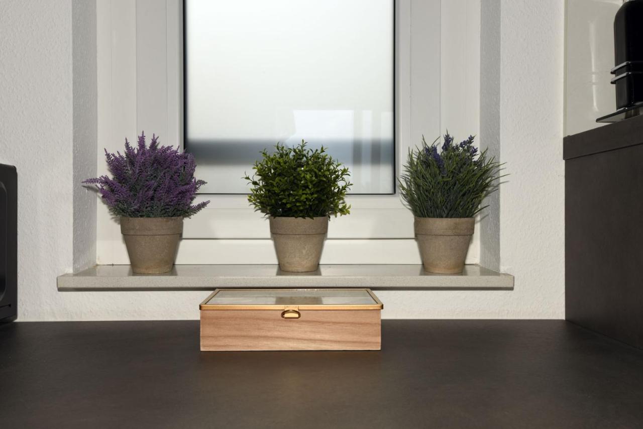 Markgröningen Inhomevision Neubau, Design, Balkon, Barrierefrei, Wlan מראה חיצוני תמונה