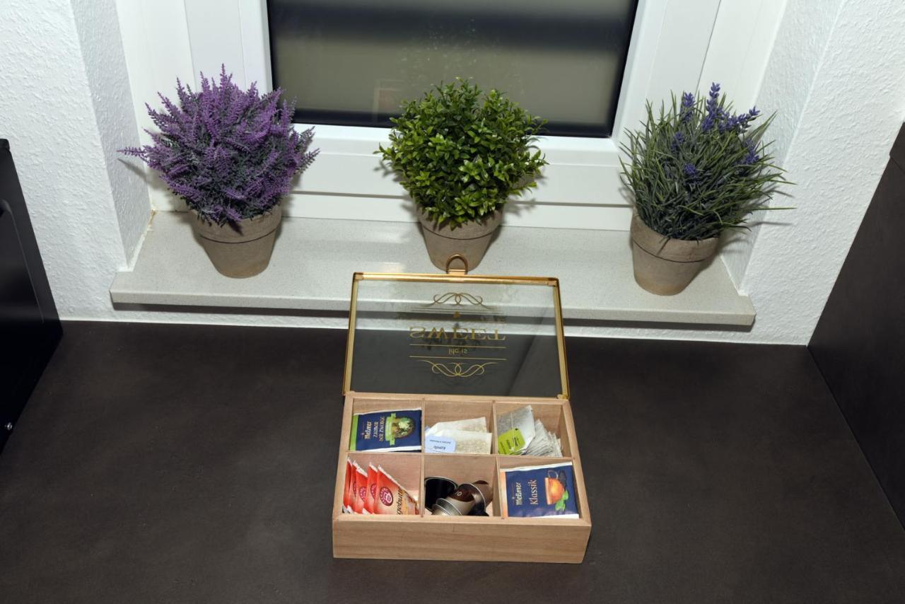 Markgröningen Inhomevision Neubau, Design, Balkon, Barrierefrei, Wlan מראה חיצוני תמונה
